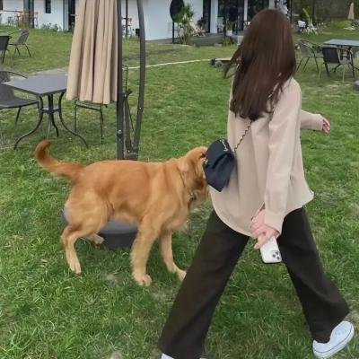 近月行动